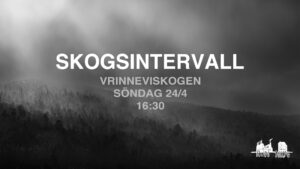 Event 172 - Skogsintervaller