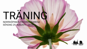 Event 277 - Träning