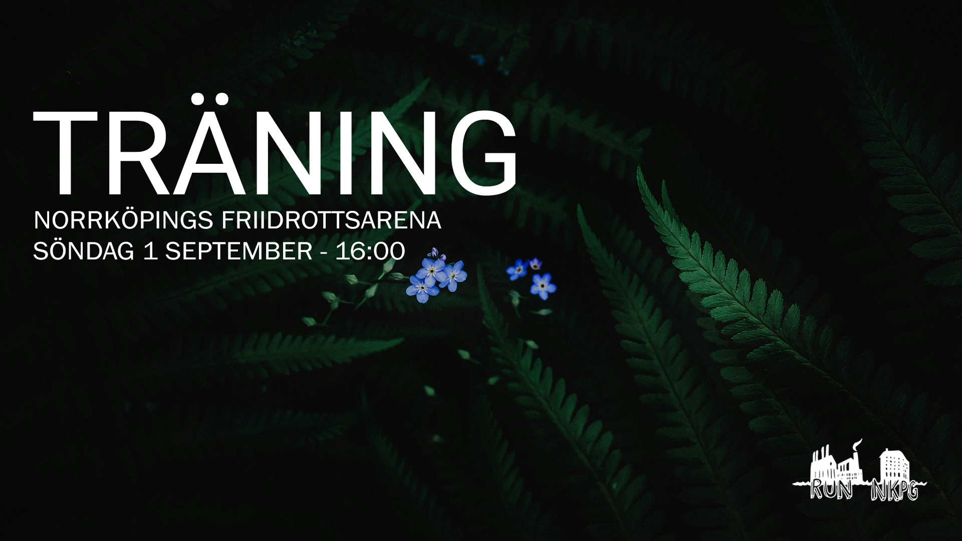 Event 278 - Träning