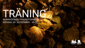 Event 281 - Träning