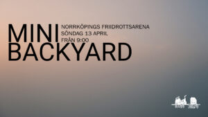 Event 304 - Mini Backyard
